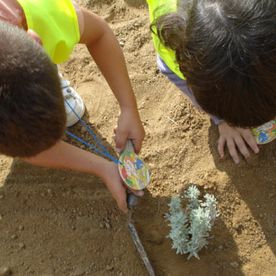 Arids I Excavacions Mont Roig S.L. niños mirando planta